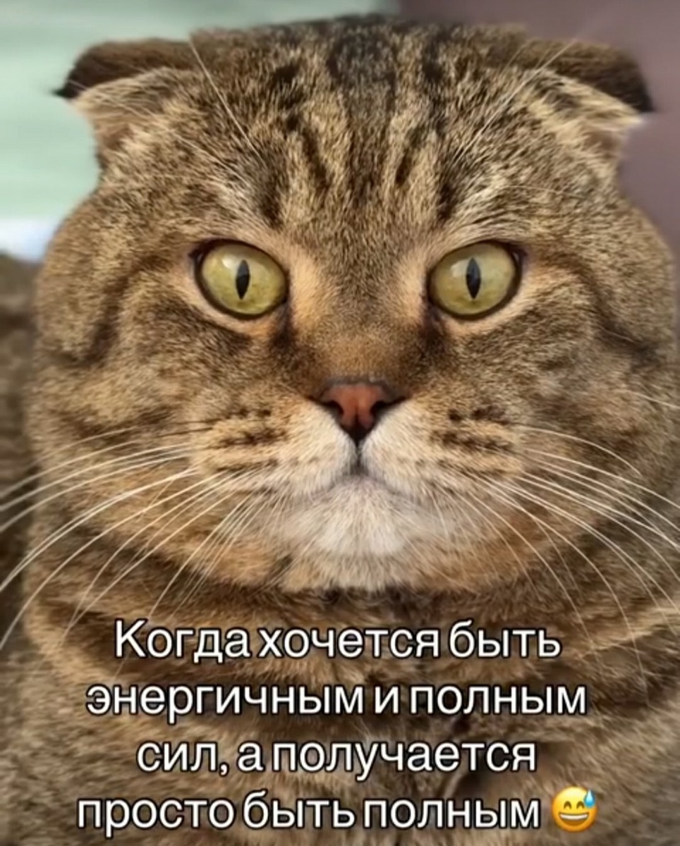 Из интернета