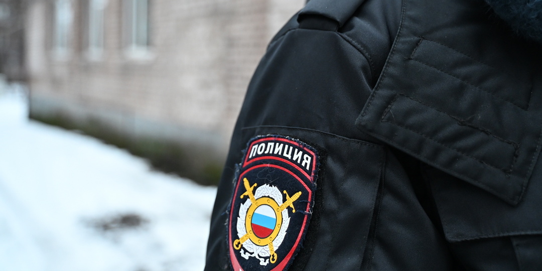 В Подмосковье мужчина выбросил из окна двух котов