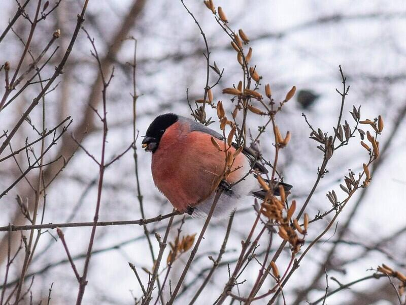 © Фото: Валентина Межецкая | t.me/svoyway