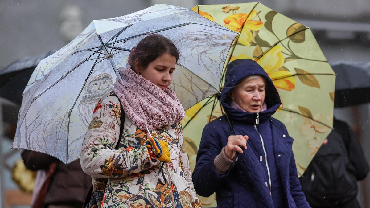    Фото: Belkin Alexey/globallookpress.com