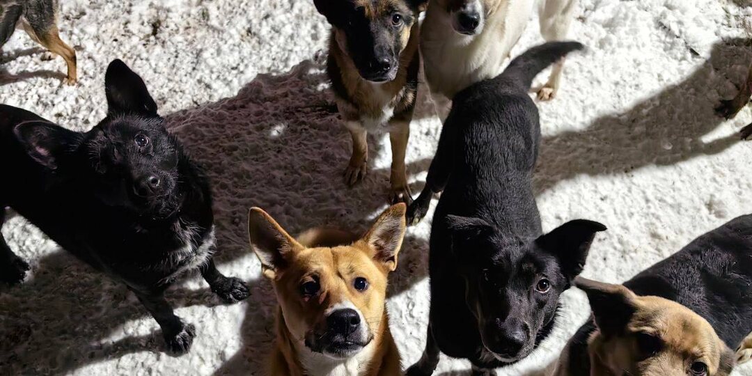 И эти ребята-девчата напоминают, что продолжают ждать свои семьи