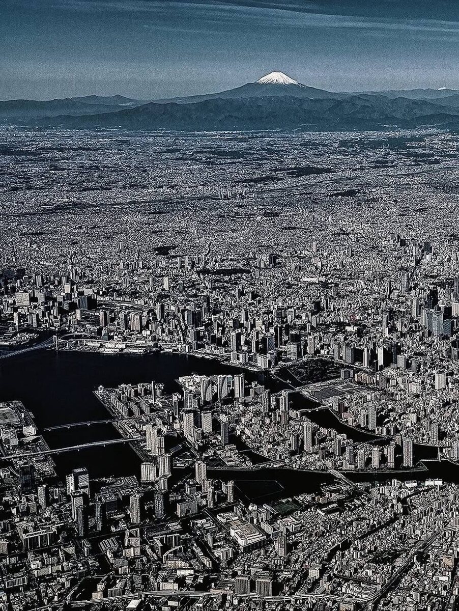 Современность, к которой стремится человечество, выглядит вот так 