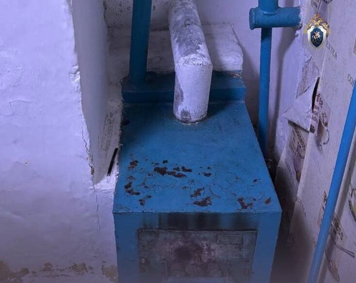     / Источник: © Челябинский Следком