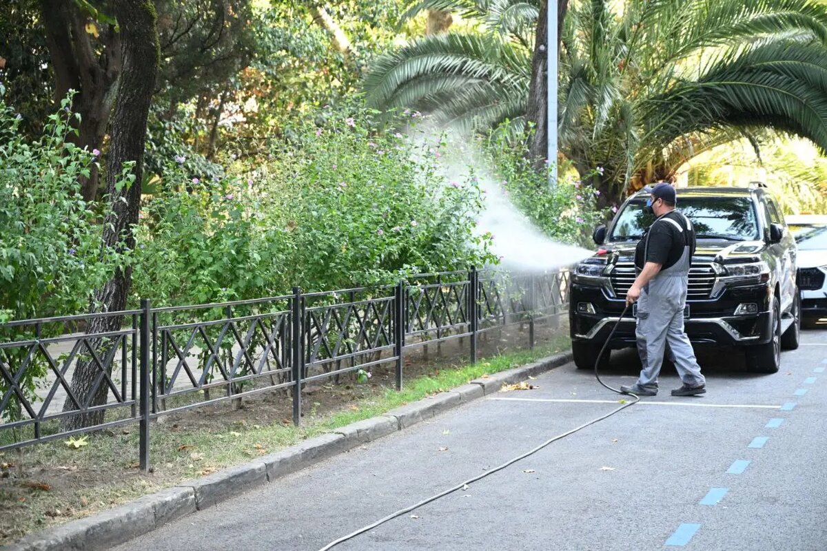     © Пресс-служба администрации Сочи. Денис Тарута