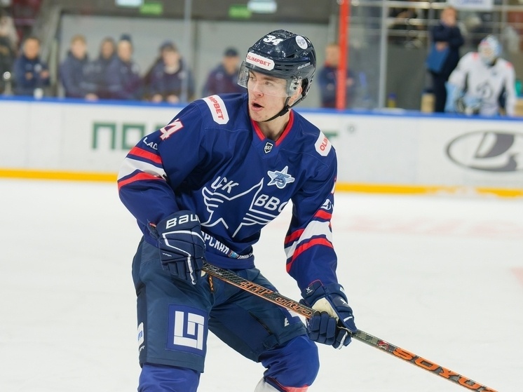     Владислав Савватеев. Фото: соцсети ХК ЦСК ВВС