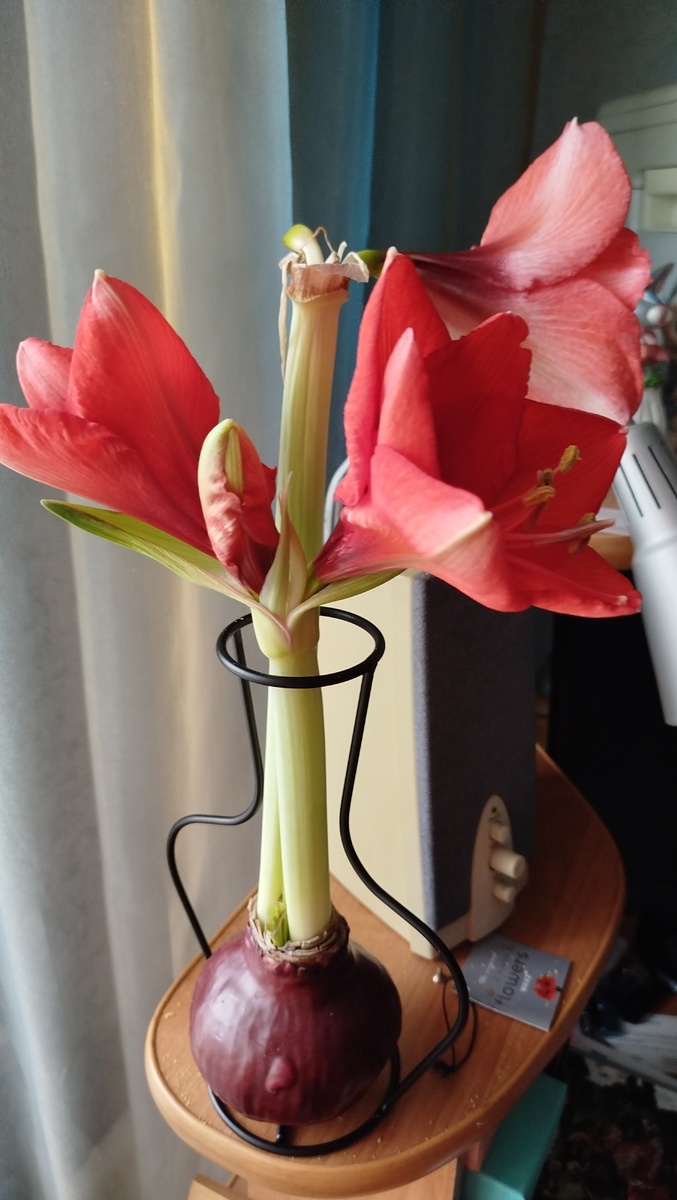 Начало истории на моем канале в предыдущих постах с таким же названием -"Четыре ключа"