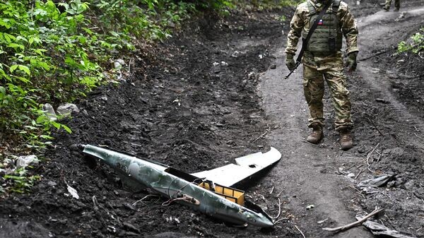    © РИА Новости . Станислав Красильников