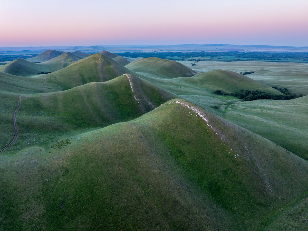 Позвонки дракона.