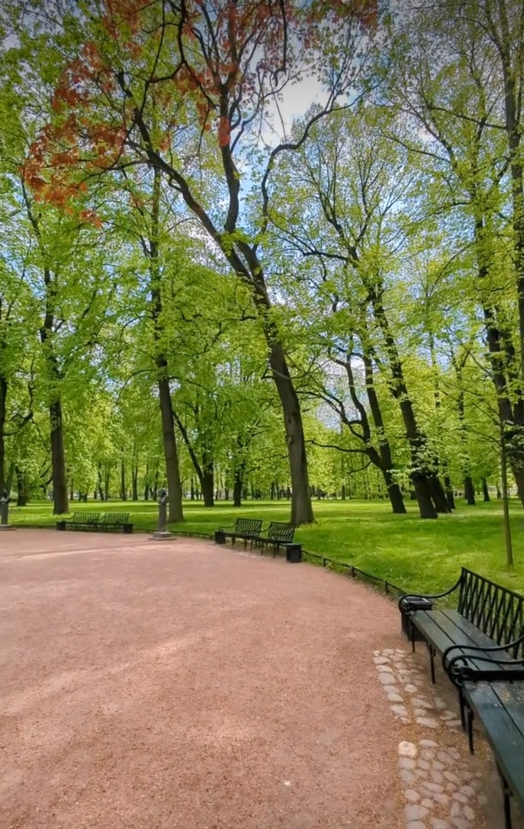 Михайловский сад