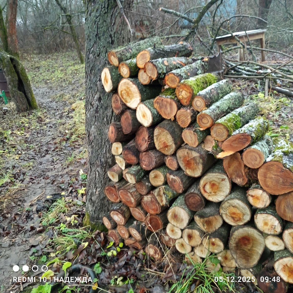 Просто немного фото из дачной жизни