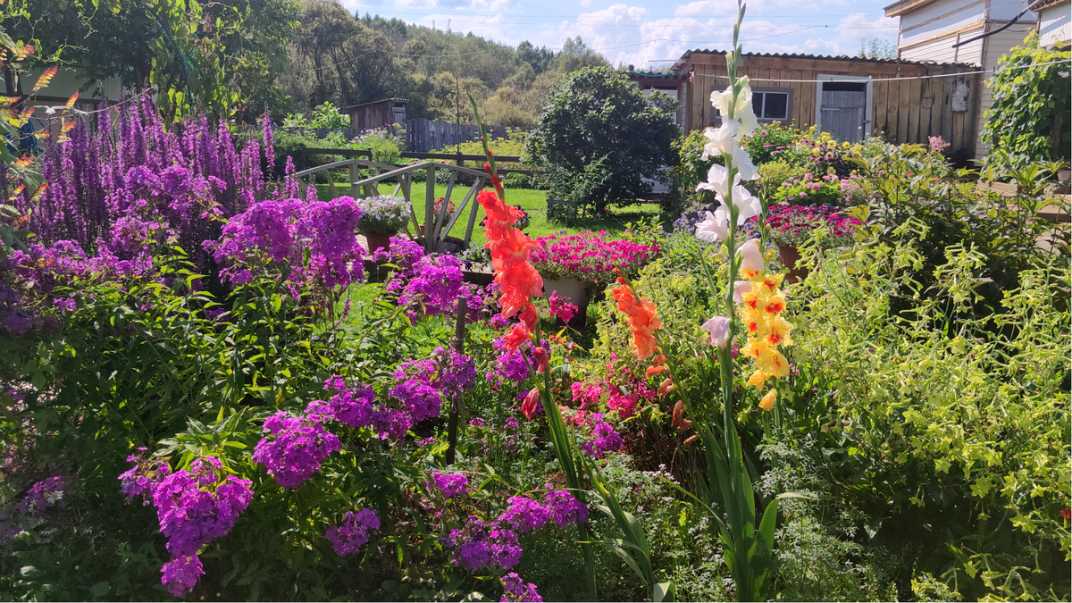 Цветущий оазис