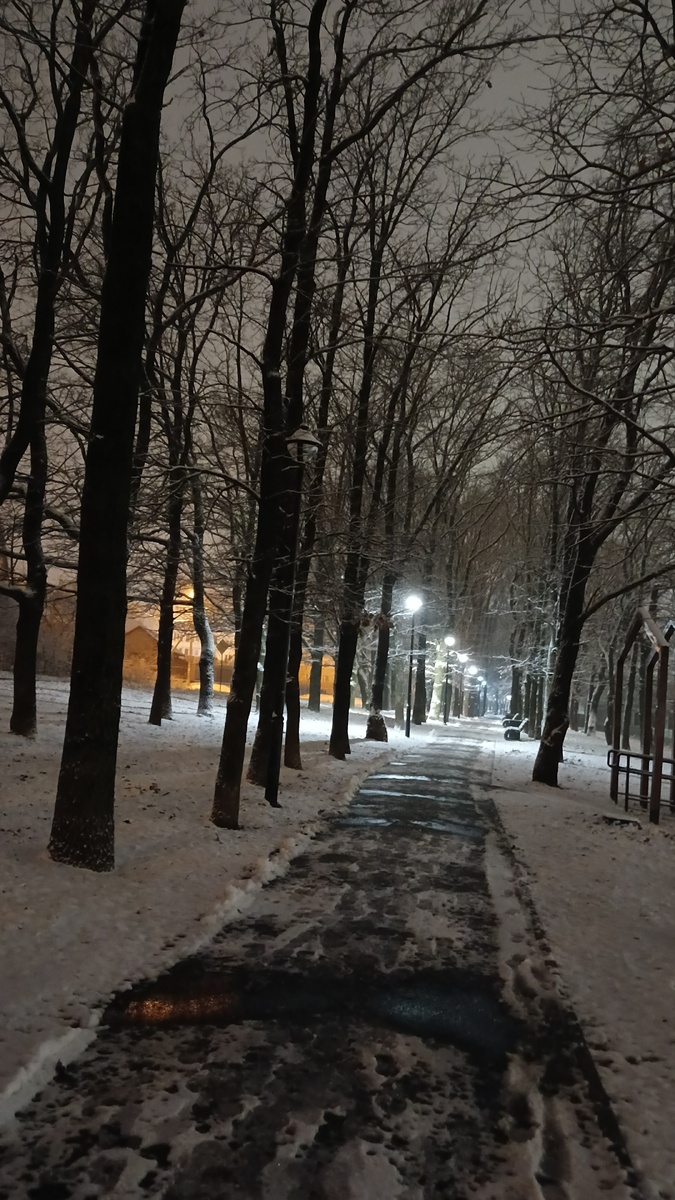 Утром по дороге в школу