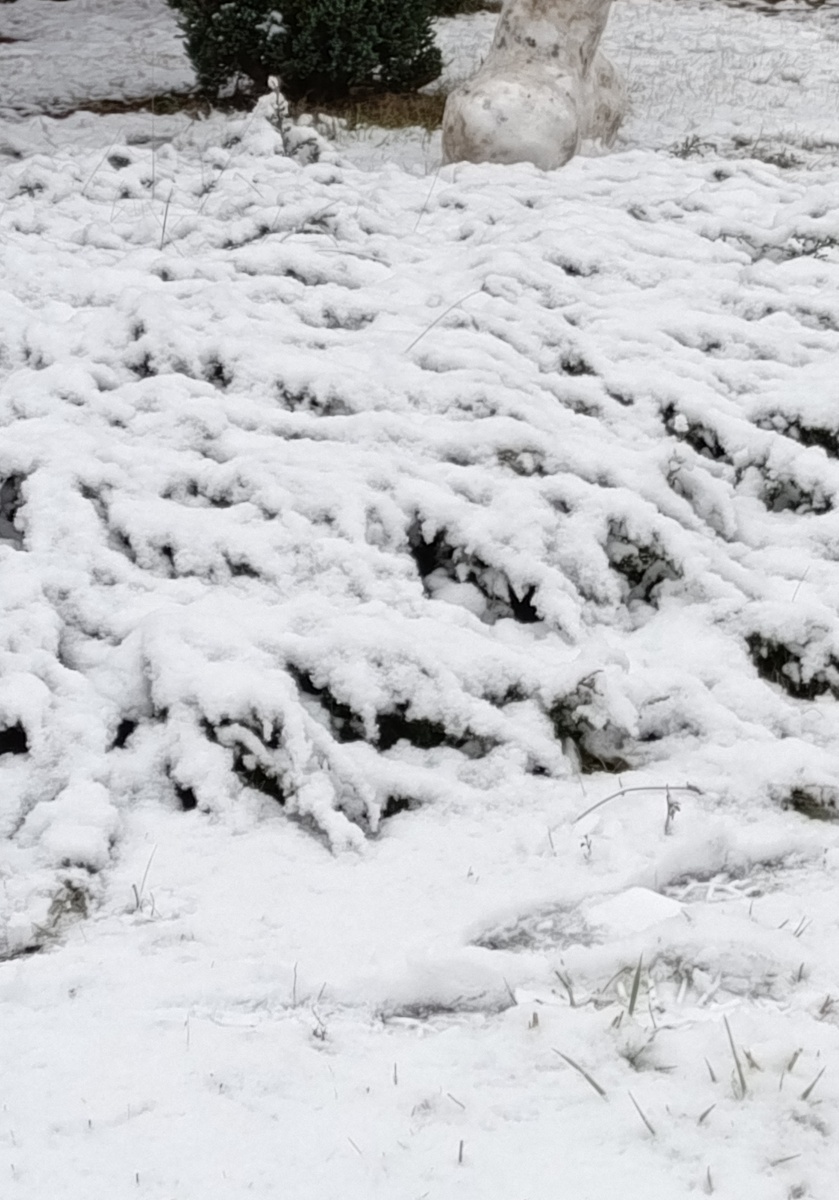 Фото  прилагаю, так как не сочиняю, немного сделала обрезание, чтобы Дзен не придрался