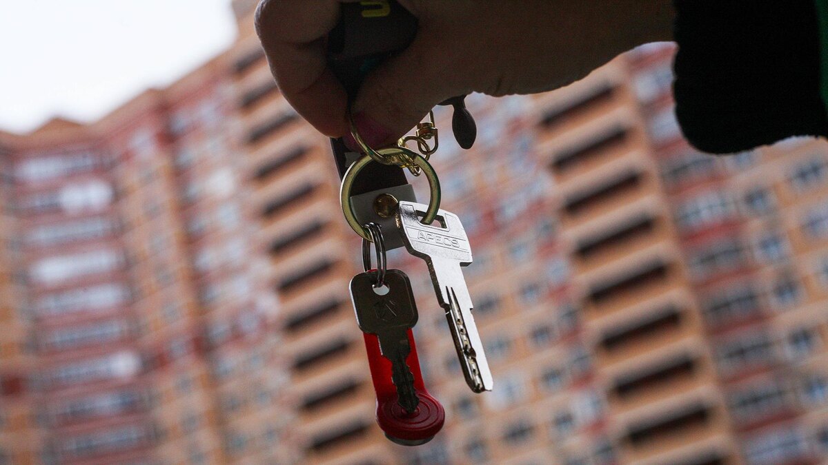    Фото: ИЗВЕСТИЯ/Юлия Майорова