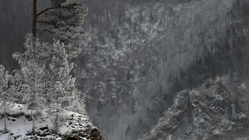 Фото: © РИА Новости/Илья Наймушин