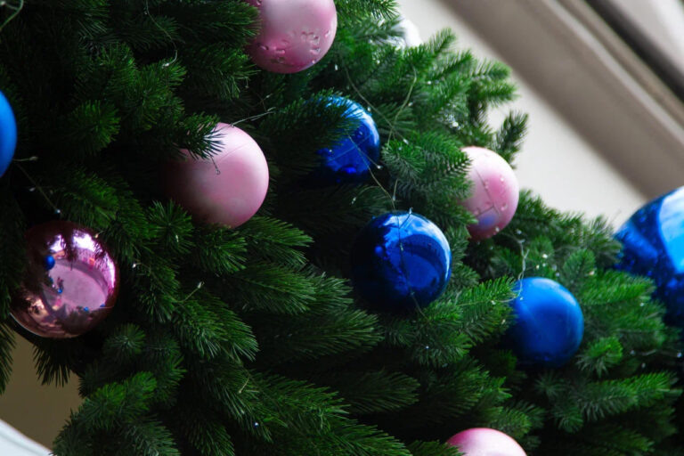    Фото: Общественная Служба Новостей Мария Спиридонова