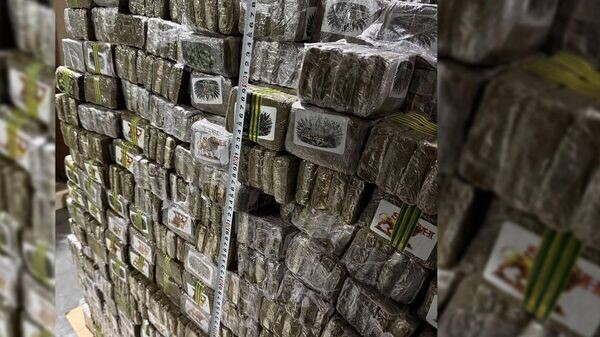    © Photo : ГТК Беларуси