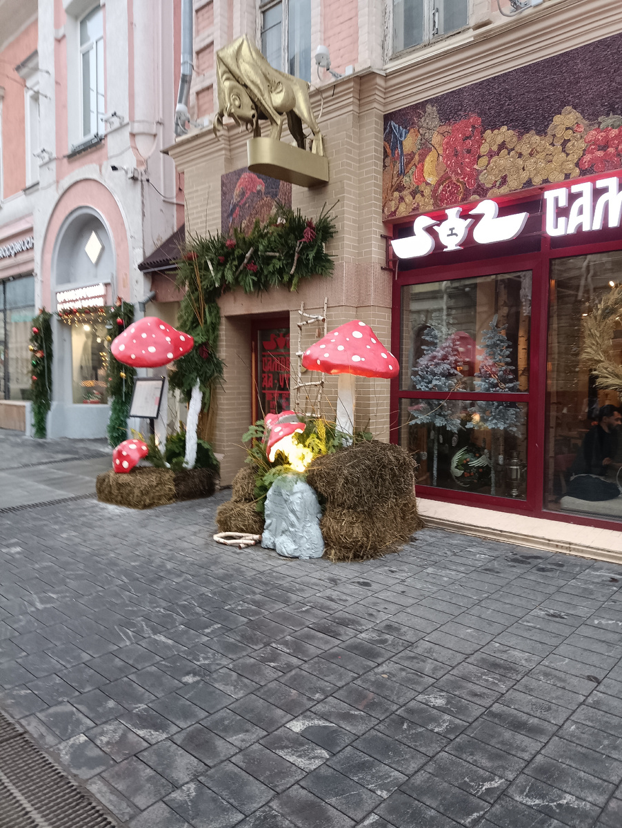 Мухоморы на Большой Покровской