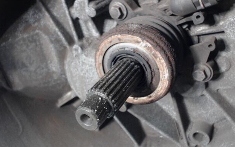 Фото: источник https://clck.ru/3QoYgL