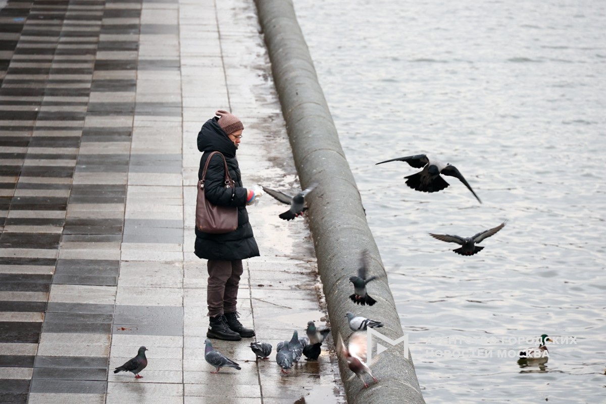 Фотограф: Ярослав Чингаев