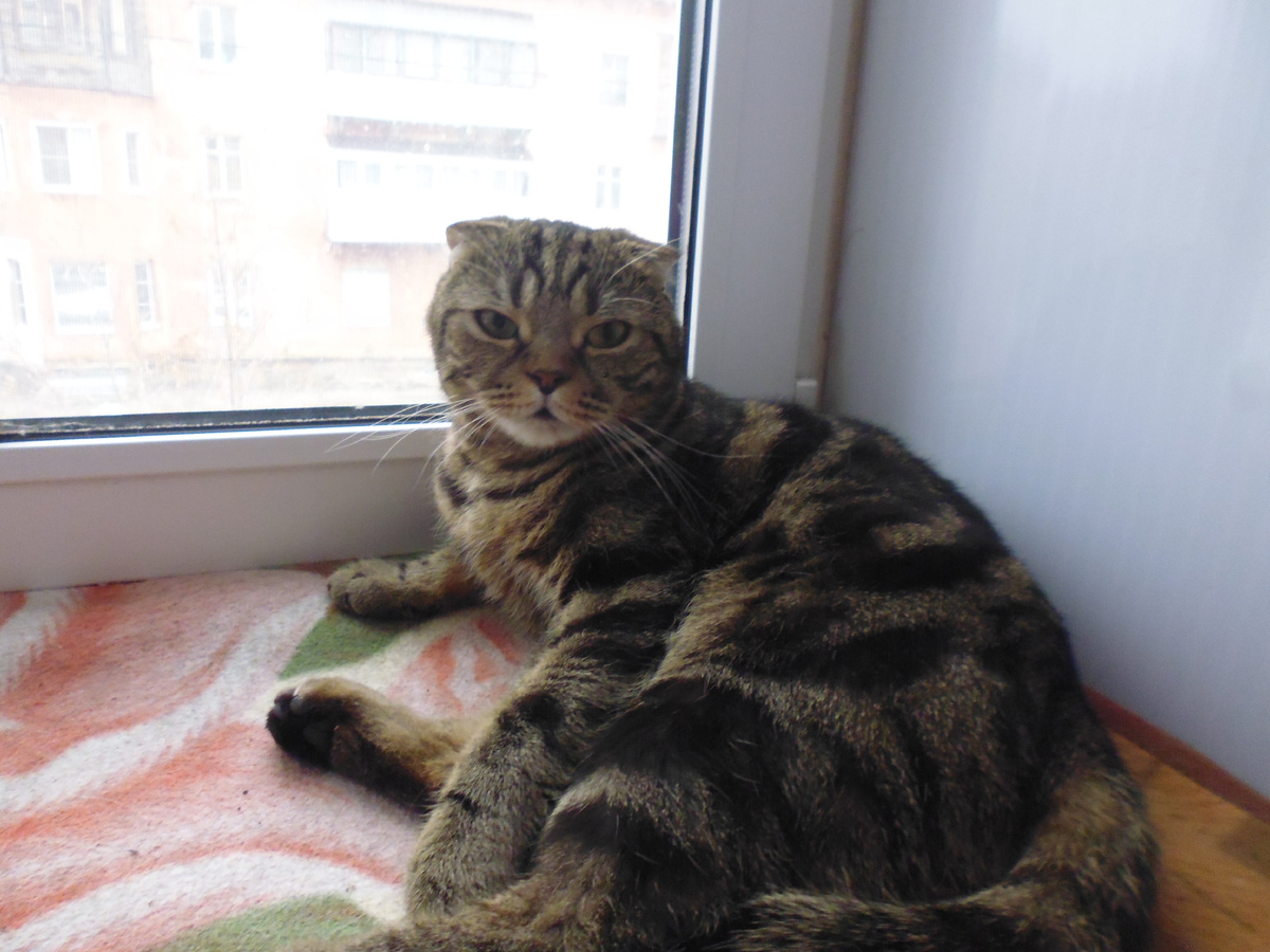 Я отогрелся, здравствуйте!