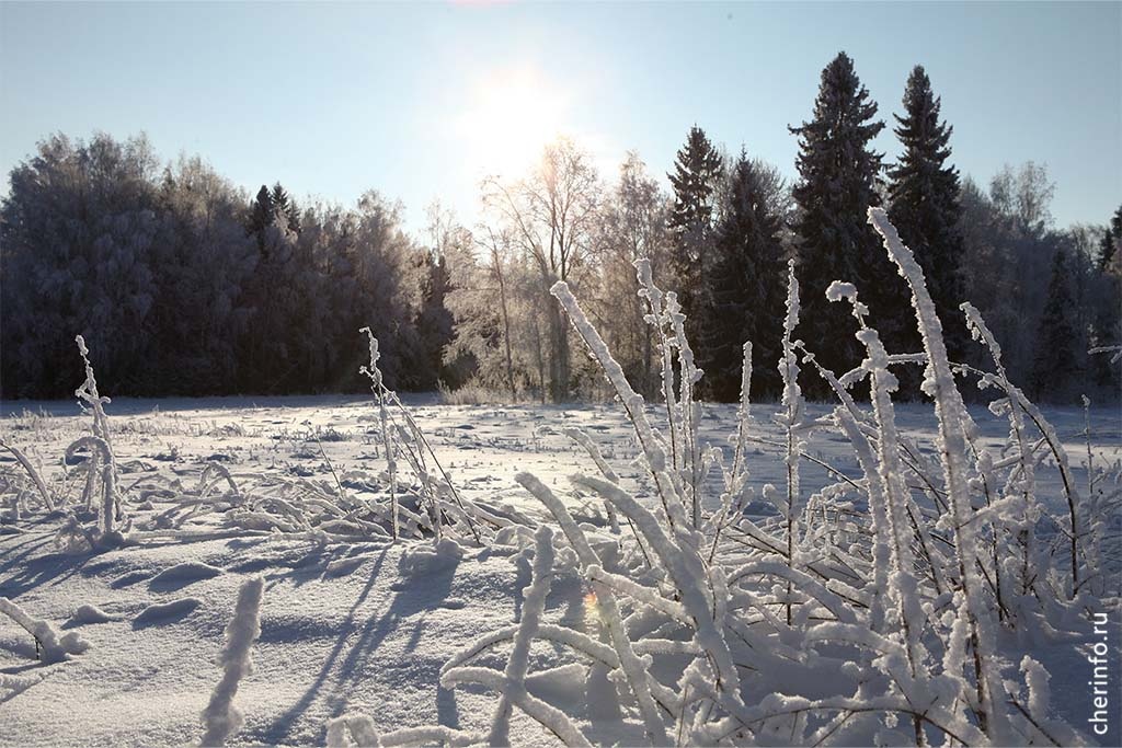    По информации синоптиков, на регион надвигается холодный атмосферный фронт, который принесет похолодание.