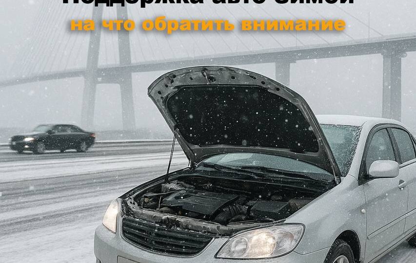 Поддержка авто зимой: что важно учесть, когда машина приехала из-за границы в этот период