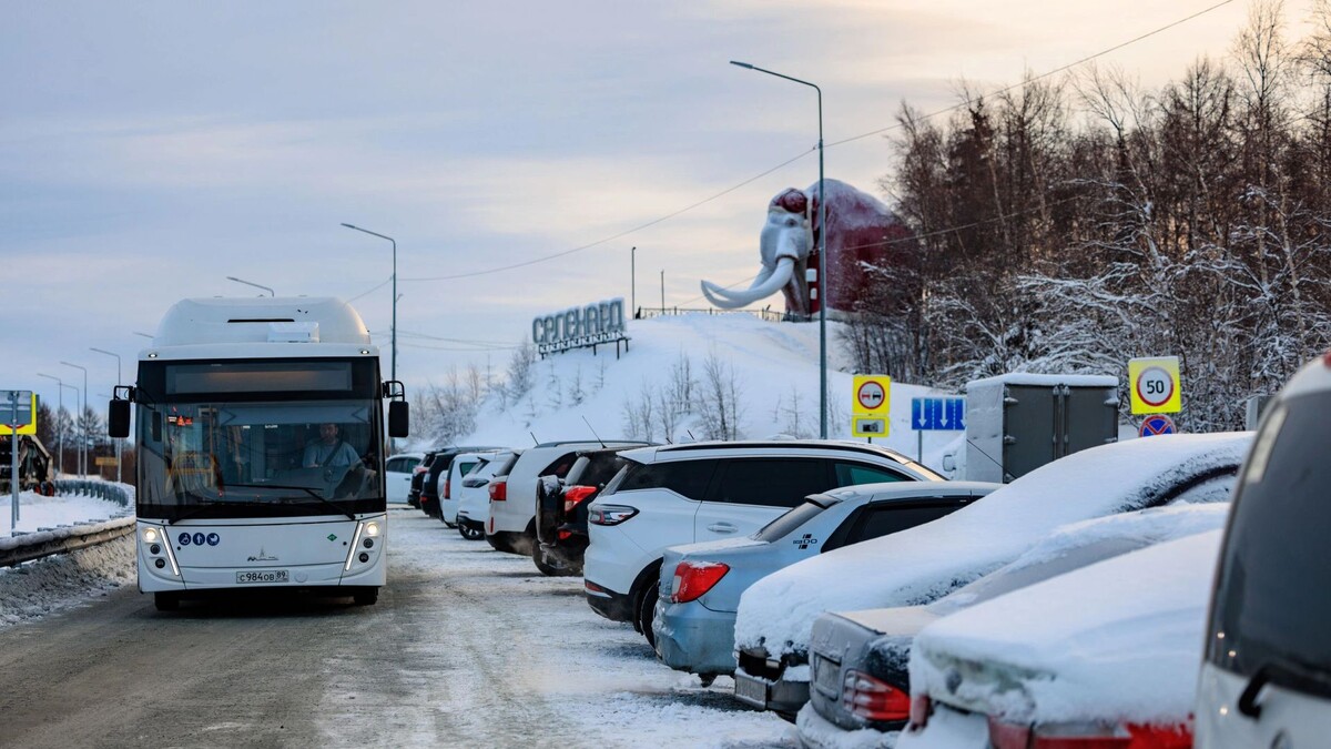    Фото: Сергей Зубков / «Ямал-Медиа»