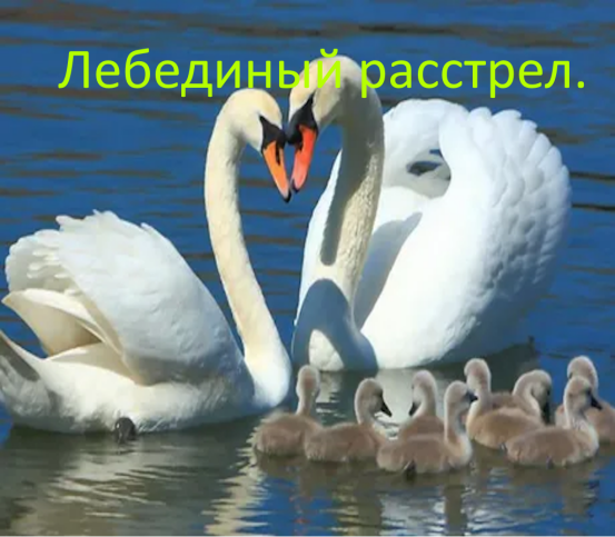 Не становитесь тварями, ни когда.