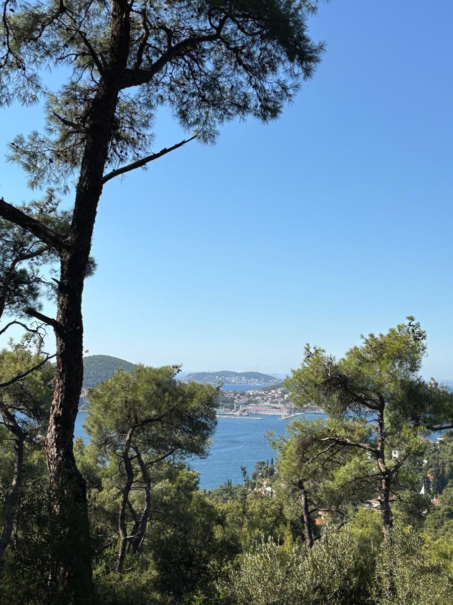 Вид на острова