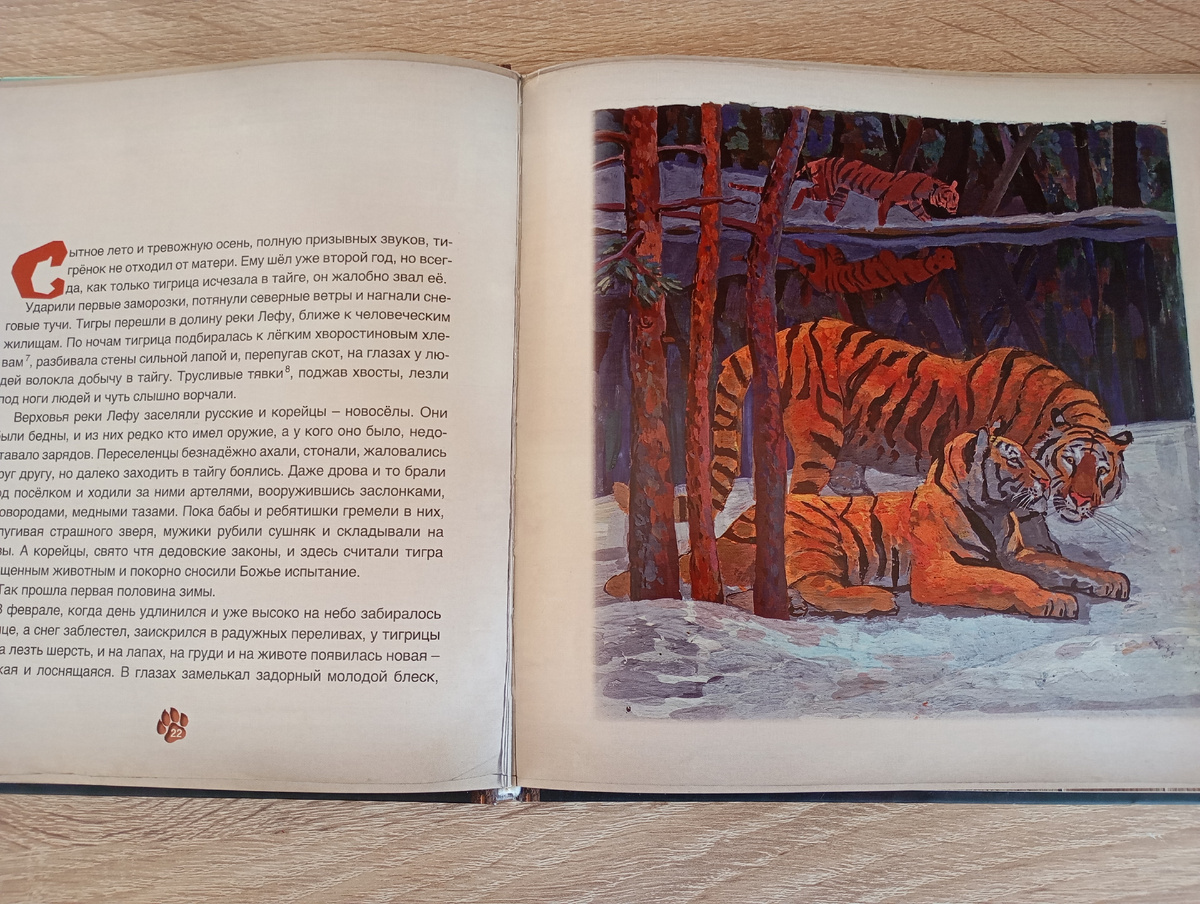 Фото автора.