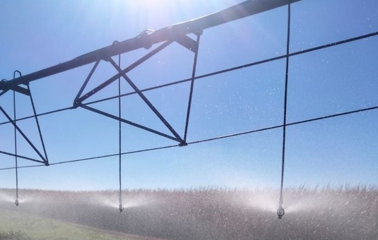    Фото: Правительство Тамбовской области