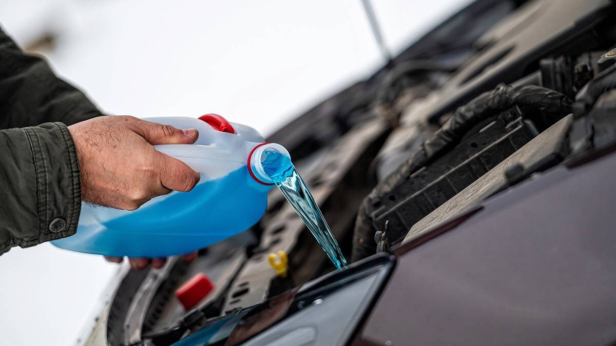    Фото: Shutterstock