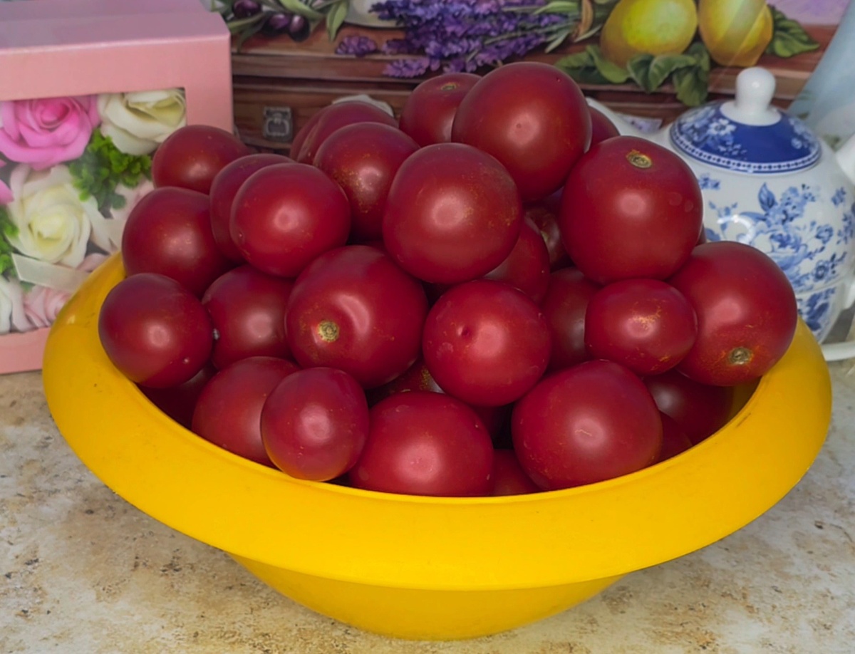 Фото elesha_povar