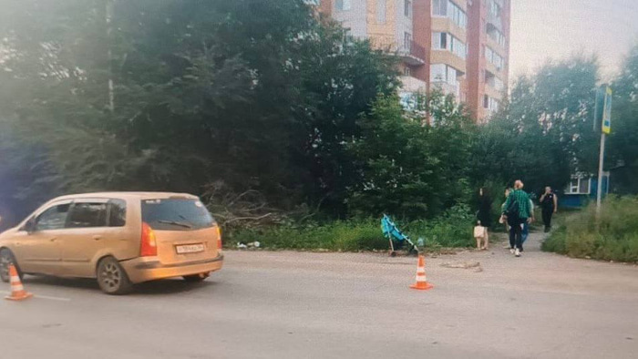    Фото: t.me/prok_omsk