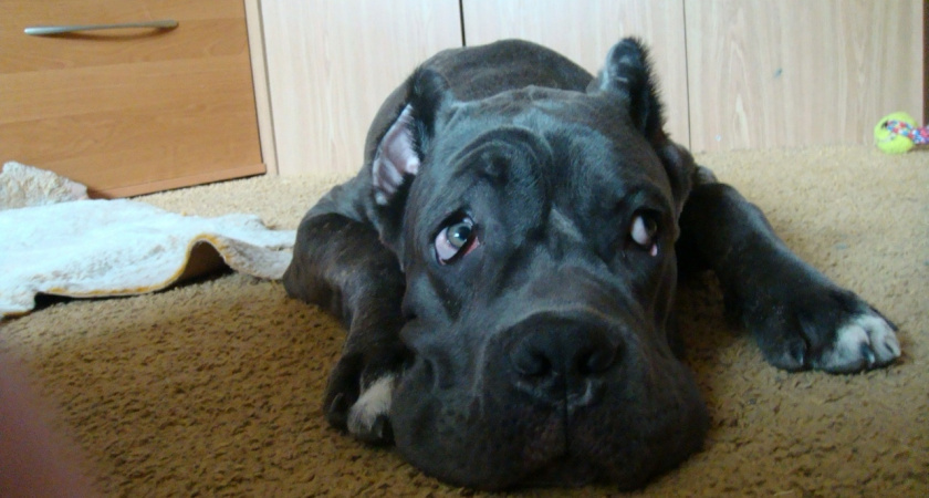    Фото: ПроГород