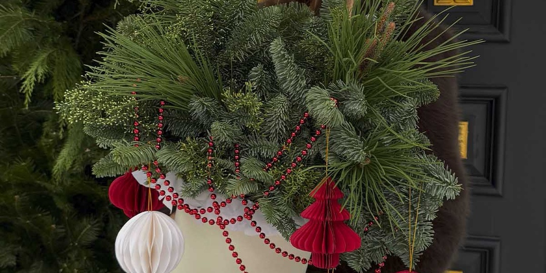 Цвета Цветов: Встречаем 2026 год: В каком цвете ловить удачу за хвост? Главные оттенки для счастья, наряда и новогоднего стола.