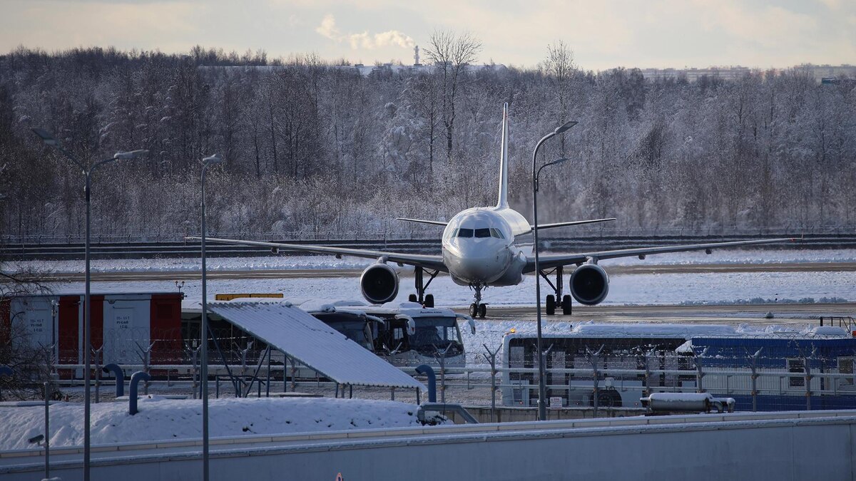    Фото: ИЗВЕСТИЯ/Евгений Павлов