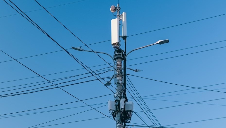 Автор фото: Михаил Тихонов / "ДП"