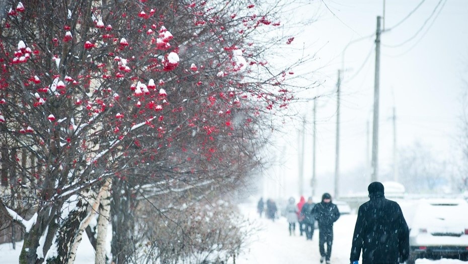    Петербург на выходных ждёт минус и солнце Автор фото: Кулыгин Александр