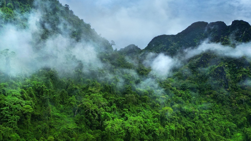     Фото: michel arnault/Shutterstock/FOTODOM