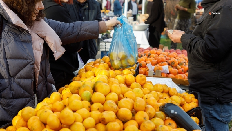      Фото: ИА «Победа26»