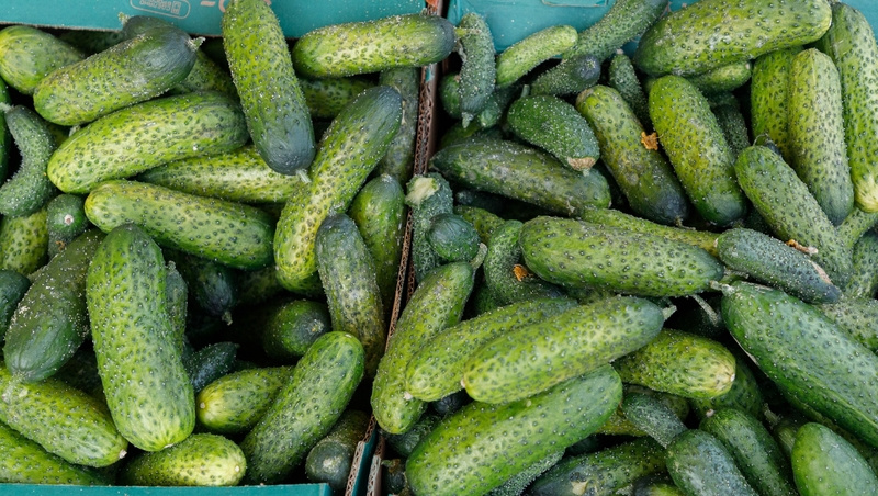    На ярмарках можно приобрести продукцию местного производства Фото: ИА «Победа26»