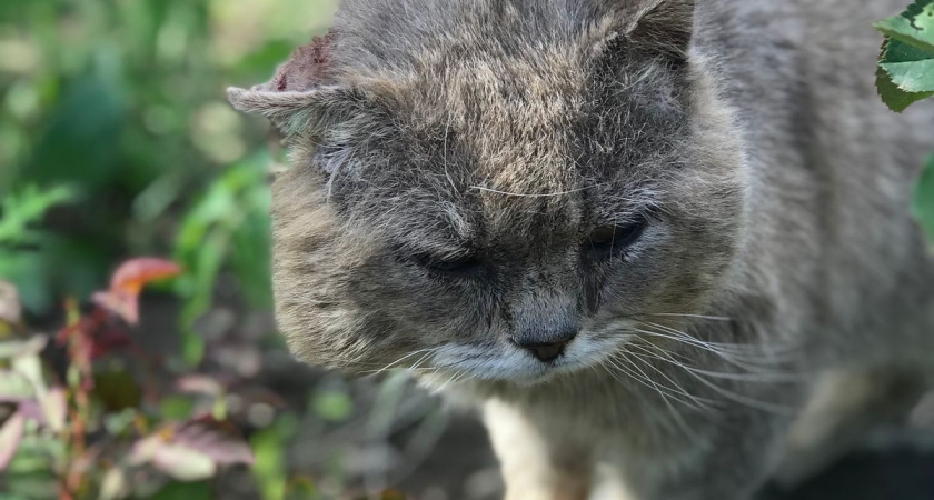    Фото irkutsk.news