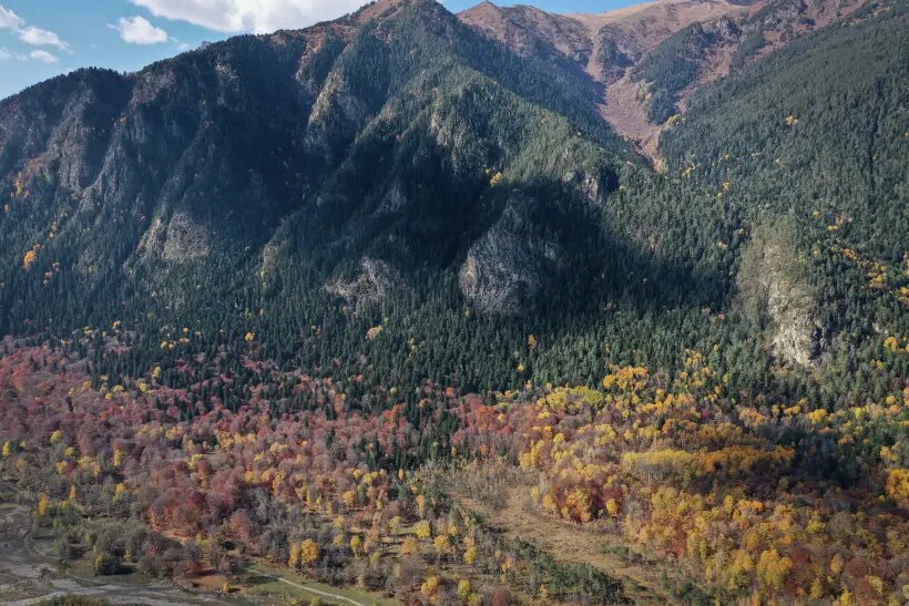     Тебердинский государственный природный биосферный заповедник в Карачаево-Черкесской Республике. © РИА Новости. Денис Абрамов