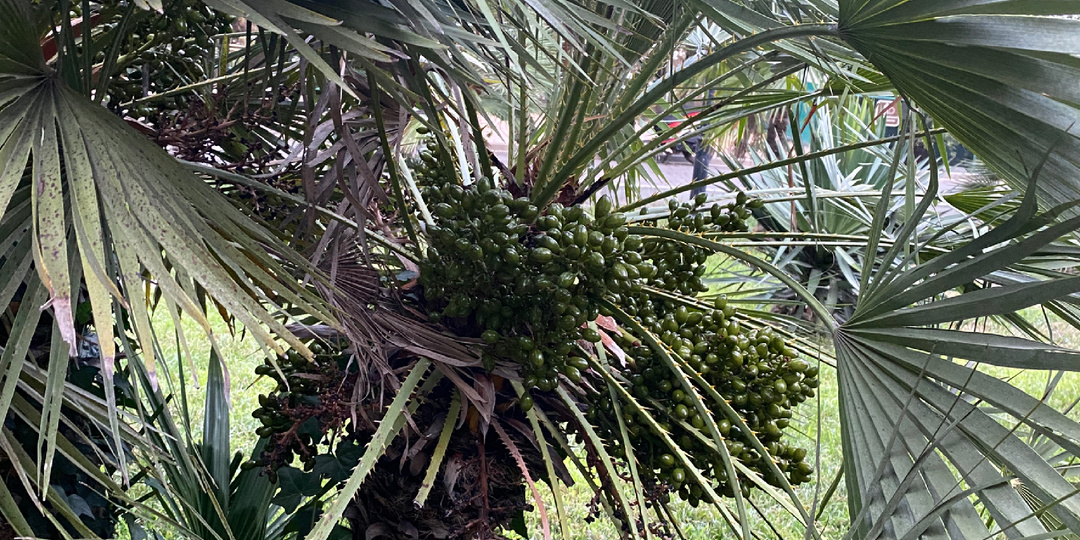 6 семейных правил, из-за которых нам не нужно кричать