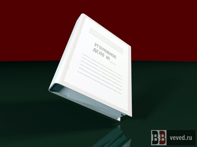     Иллюстрация: Андрей Гоголев / Вечерние ведомости