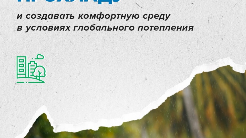 Из-за изменения климата города превращаются в «острова тепла»: асфальт и бетон накапливают тепло энергию, делая улицы на несколько градусов