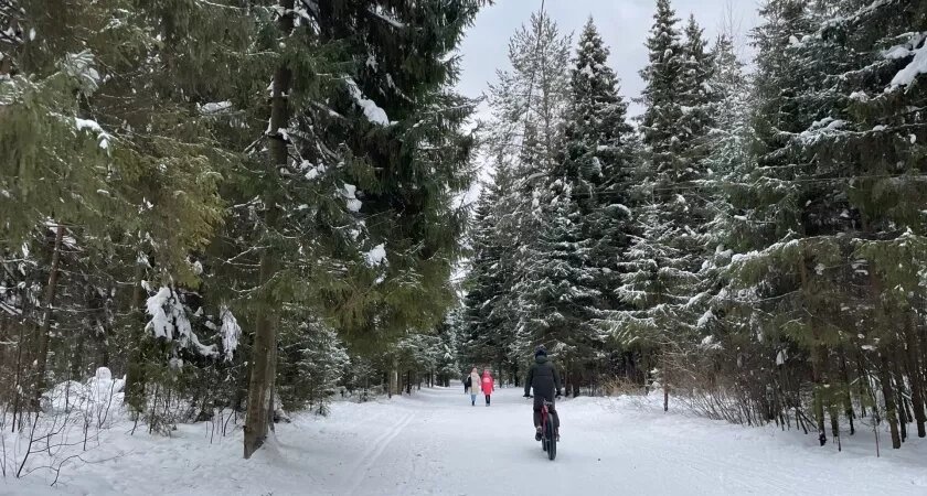    Фото prochepetsk.ru