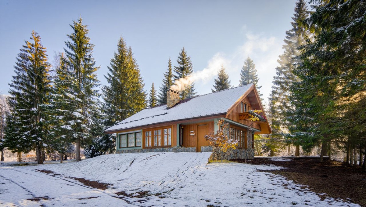 Фото: нейросеть Reve